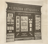 Illustrazione dell'esterno della libreria antiquaria Luzzietti