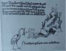 Riproduzione di uno schizzo di mano del Petrarca